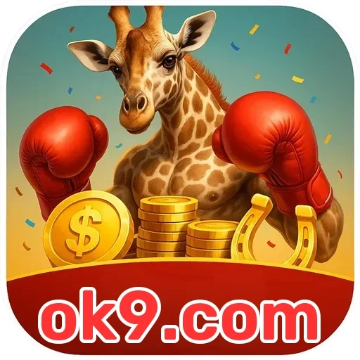 ok9.com Suporte 24/7